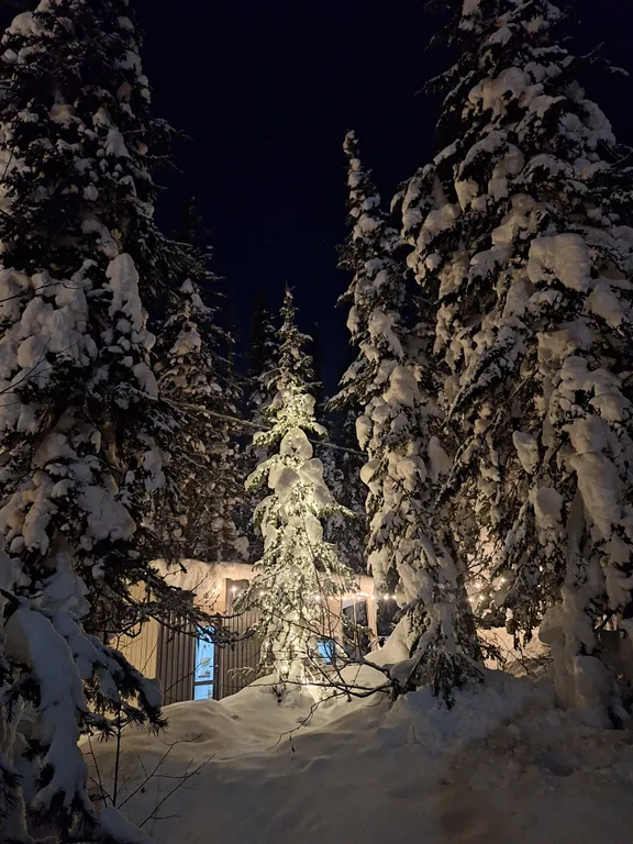 Уютный домик для двоих с террасой в лесу