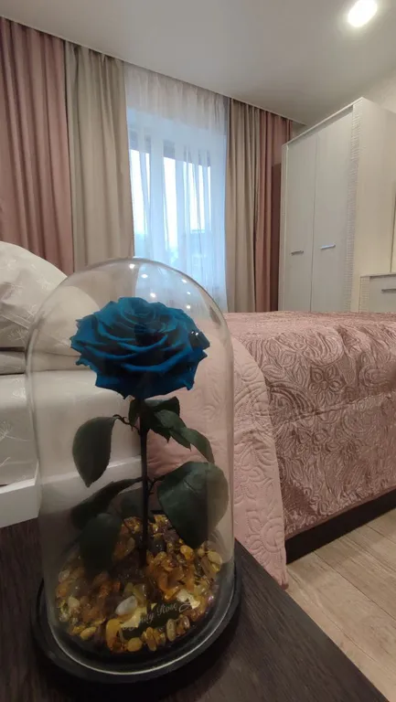 Квартира Уютная квартира у моря — Зеленоградск