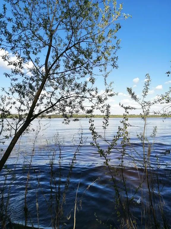 Дом у Волги