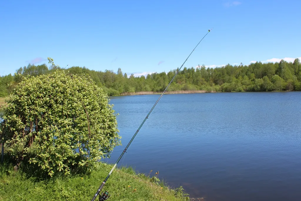 Усадьба Пядань, рыбалка