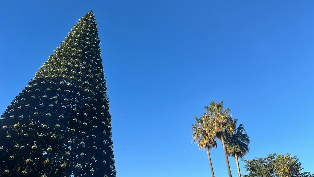 Роскошная студия у моря в самом центре