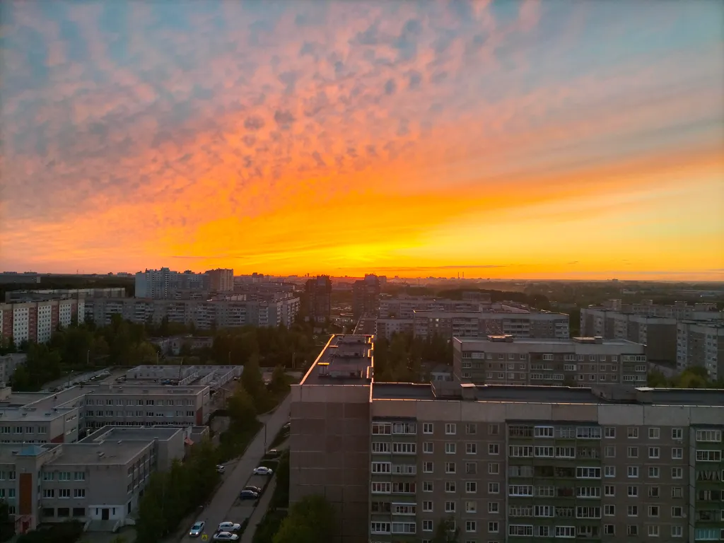 Уютная квартира с видом на берёзовую рощу