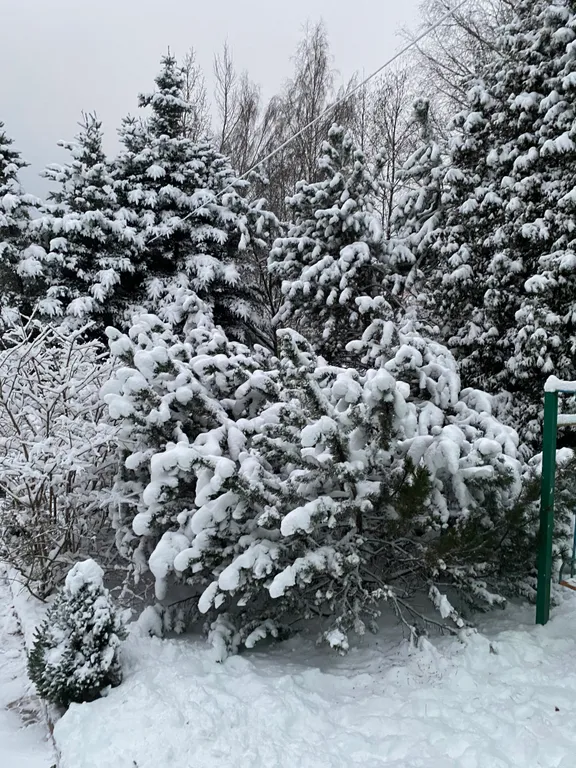 Уютный загородный дом с русской баней на дровах