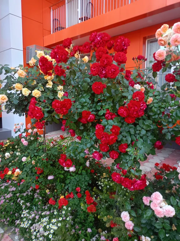 Уютный номер