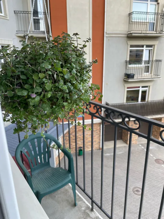 Квартира Уютная квартира рядом с велодорожкой, которая идёт вдоль побережья — Пионерский