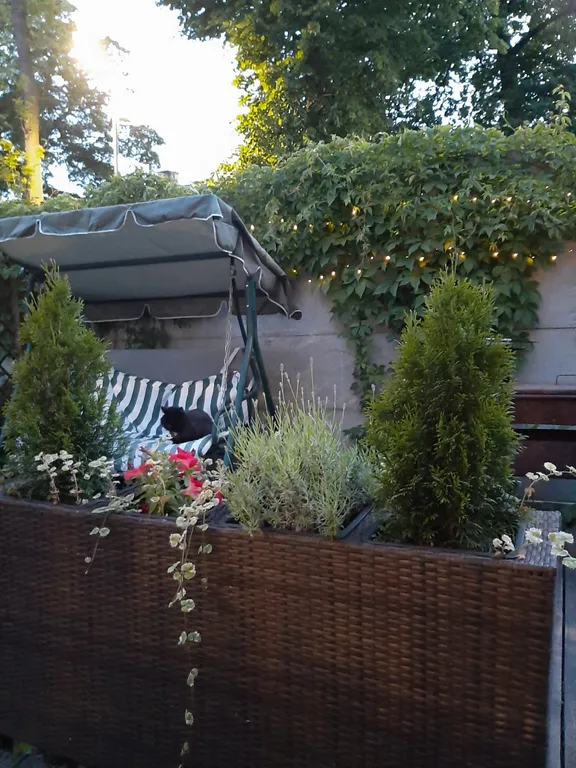 Гостевой домик Листья травы в исторической части города