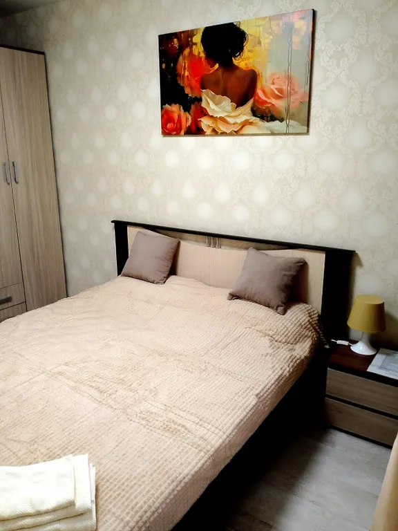 Уютная квартира в центре города