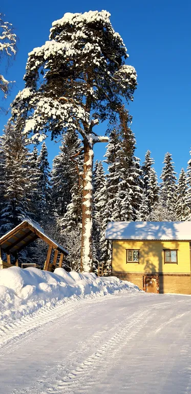 Коттедж Уютный домик у леса — аренда посуточно в Сортавала