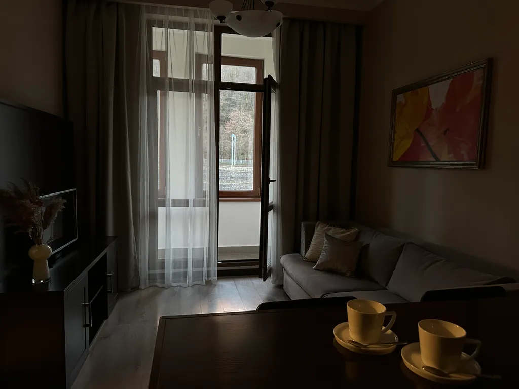 Современная просторная квартира в центре Красной Поляны