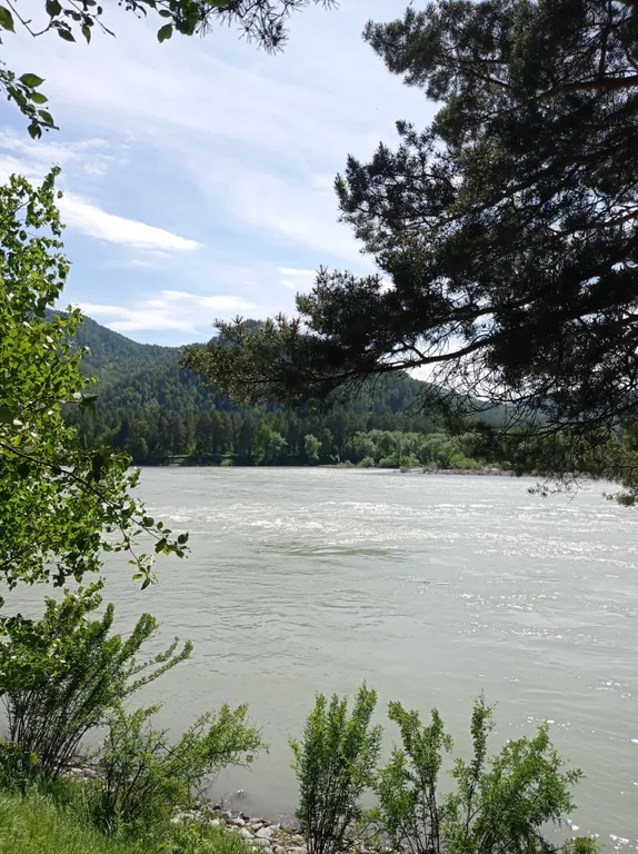 Дом на берегу Катуни - Алтай Дзен