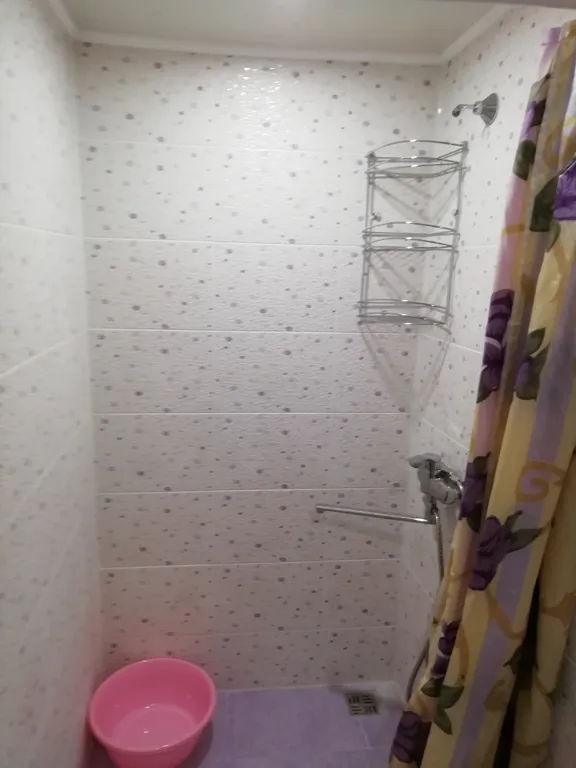 Однокомнатная квартира с двориком