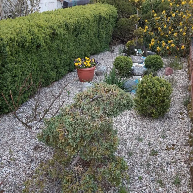 Привлекательный дом для отпуска