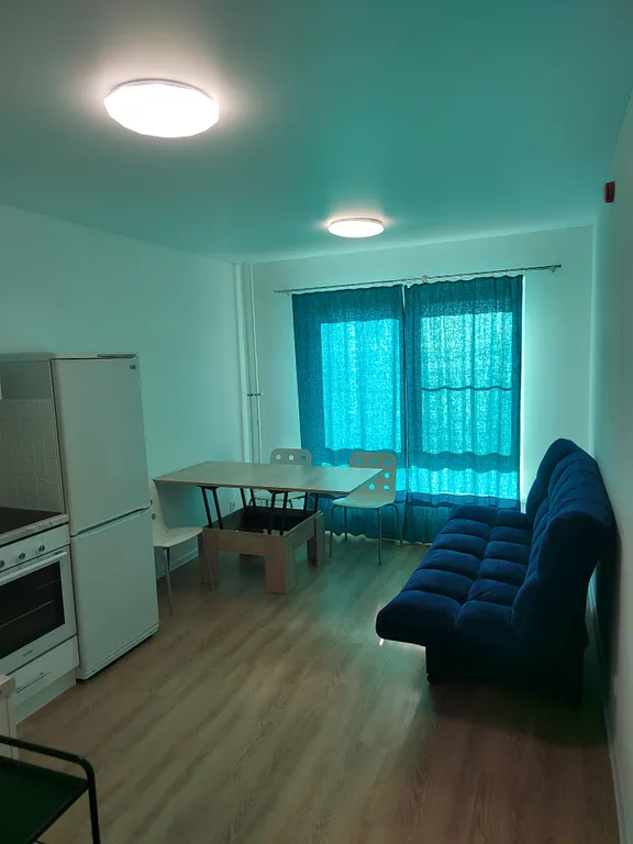 Квартира с видом на лес