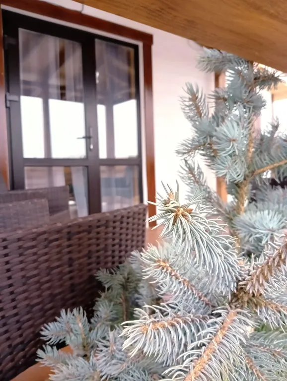 Уютный домик с баней и фурако и барбекю в 10 минутах от центра