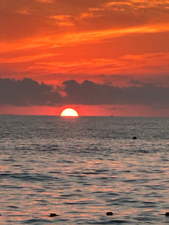 Чистая квартира близко к морю