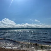 Евгения Щербинина