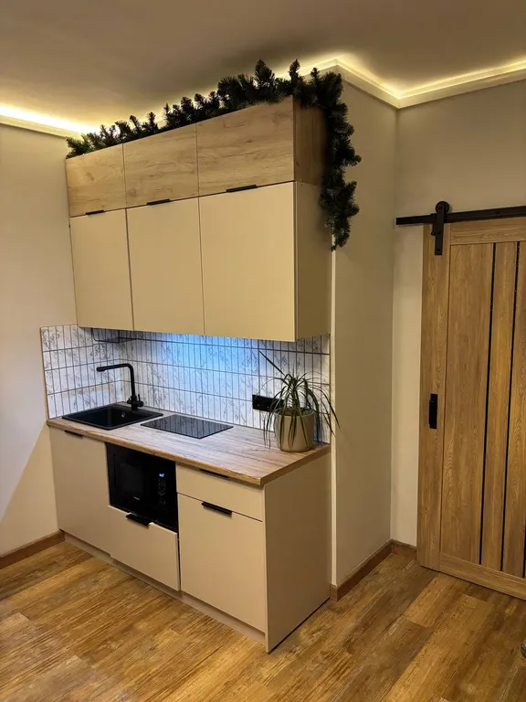 Студия на Евграфова