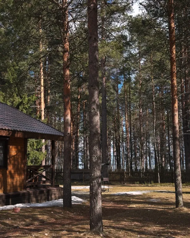 Коттедж Кивач с сауной и видом на озеро