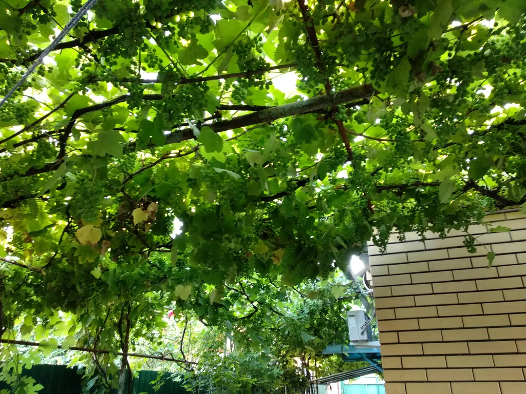 Дом комфорт