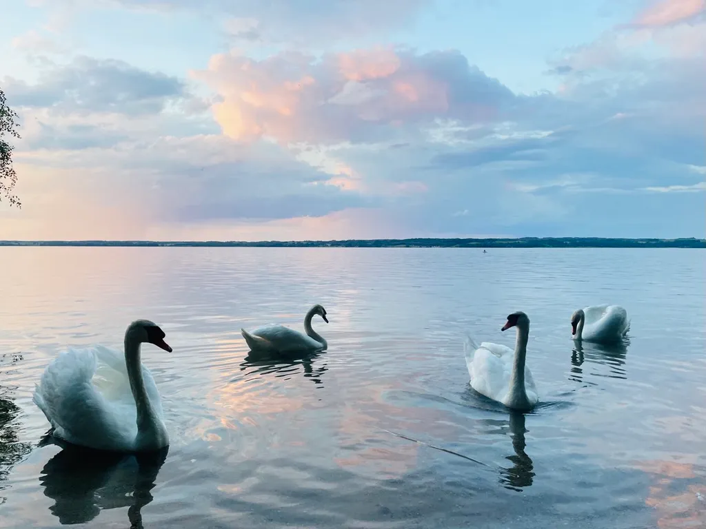 Апартамент с отдельным входом