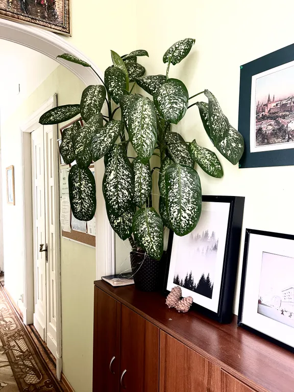 Квартира Комната — Москва