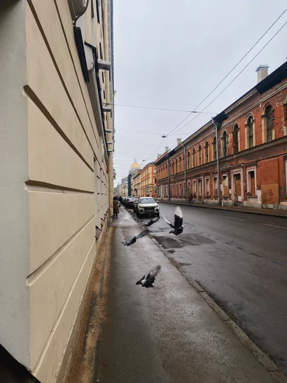 Квартира Квартира в историческом центре города — Санкт-Петербург