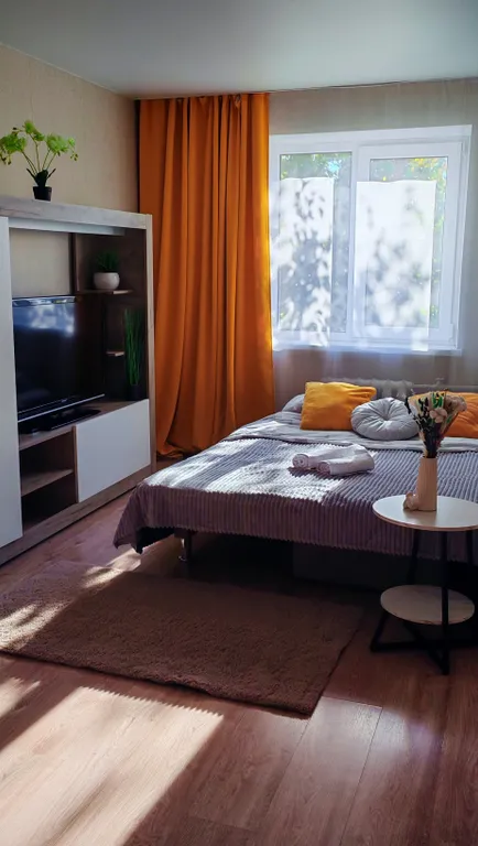 Квартира Уютная квартира между островом Канта и вокзалом — Калининград