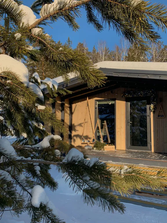 Светлый домик на опушке леса