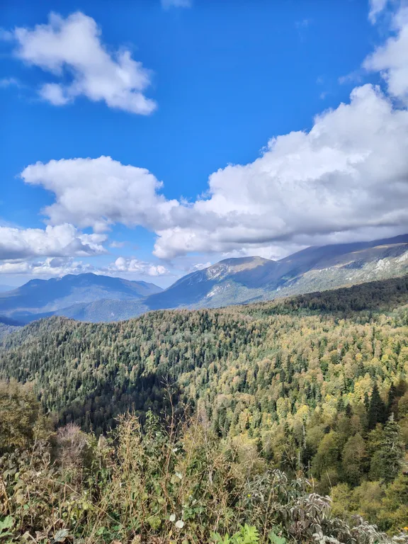 Коттедж Дом из трех комнат на Морской звезде по Лазарева — Лазаревское