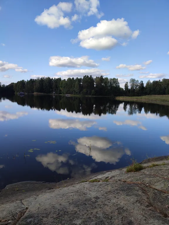 Коттедж Тёплый коттедж с баней на очень большой уединённой территории — Кротово