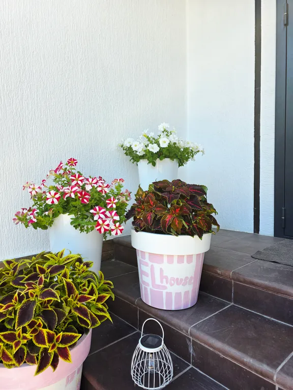 ElHouse Стильный уютный дом с видом на море и горы