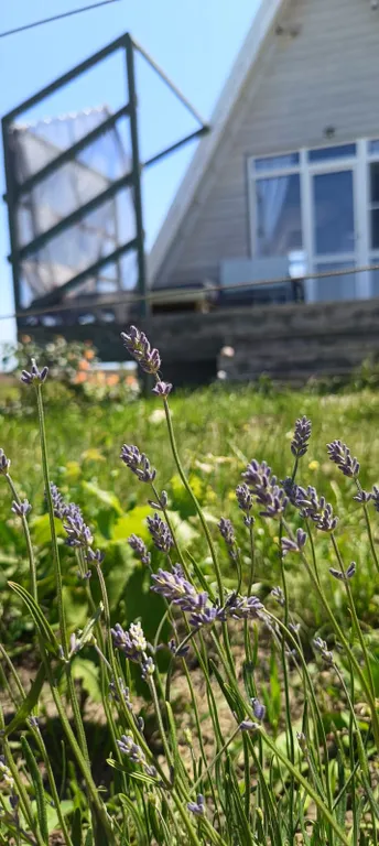 Тpеугольный дом A-frаmе с видом на море