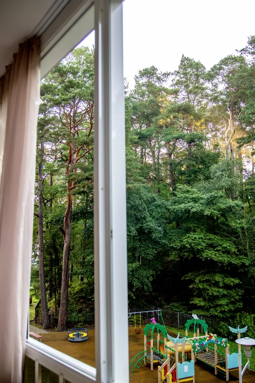 Студия с видом на сосновый лес