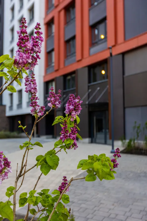 Квартира рядом с трц планета