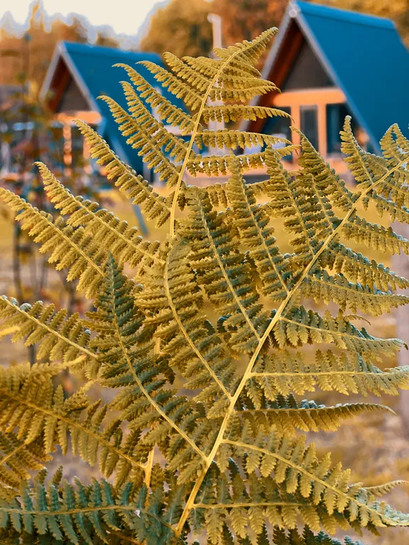 Коттедж Треугольный коттедж на берегу реки Лава — Ручьи