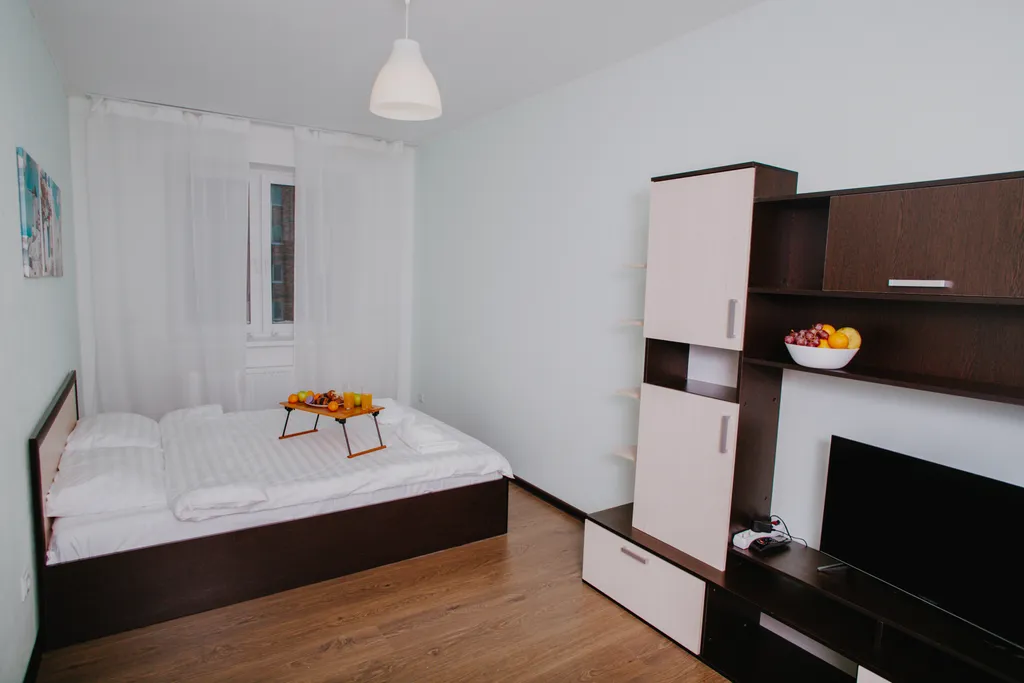 Светлая, чистая квартира на Парнасе