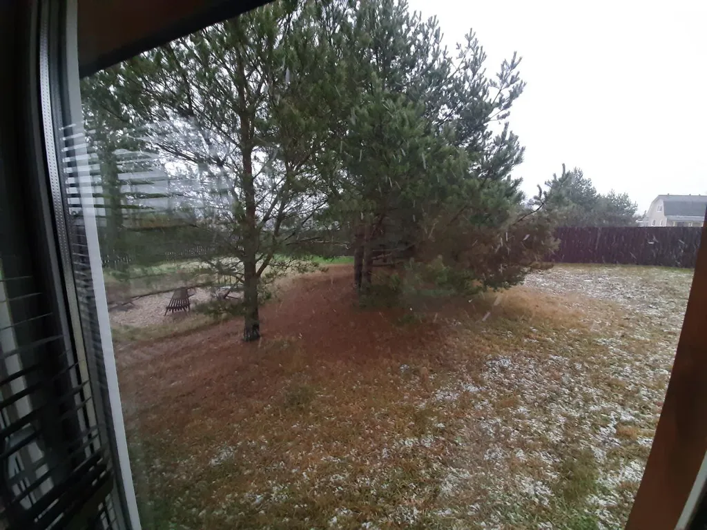 Дом в  соснах.