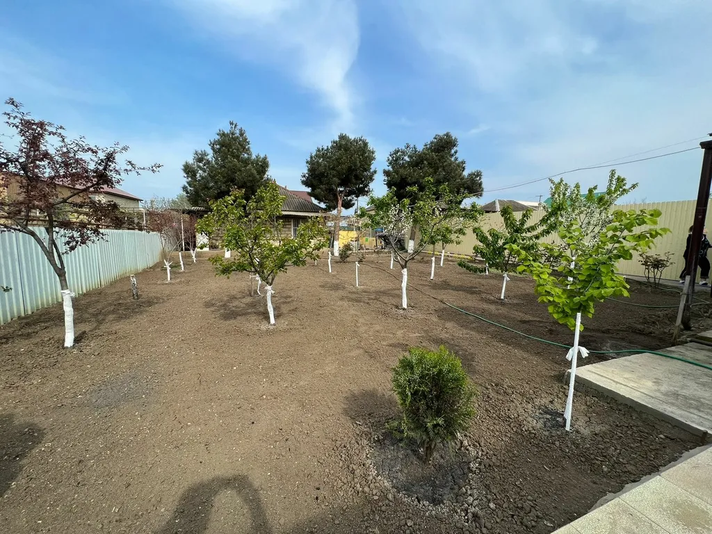 Уютная дача рядом с берегом моря