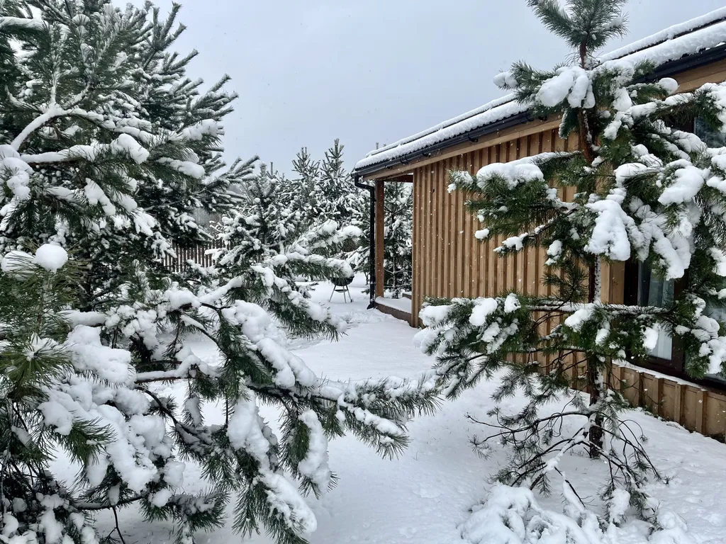 Коттедж 44м в лесу у пруда