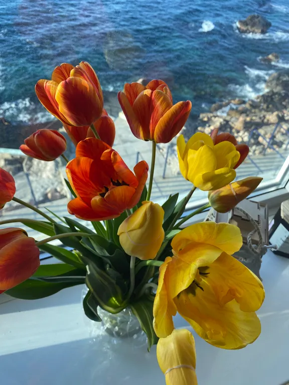 Апартамент с видом на море