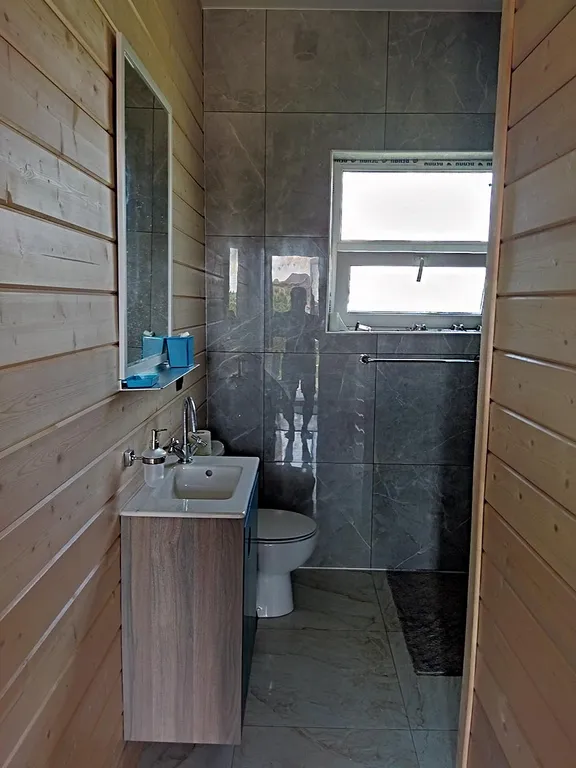 Дом в Сорочанах