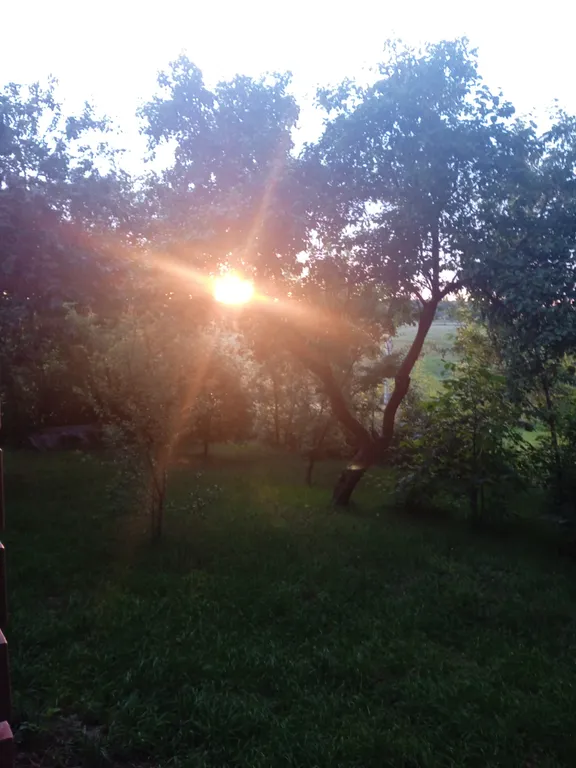 Тихий отдых