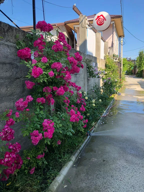 Квартира Комната — Сухум