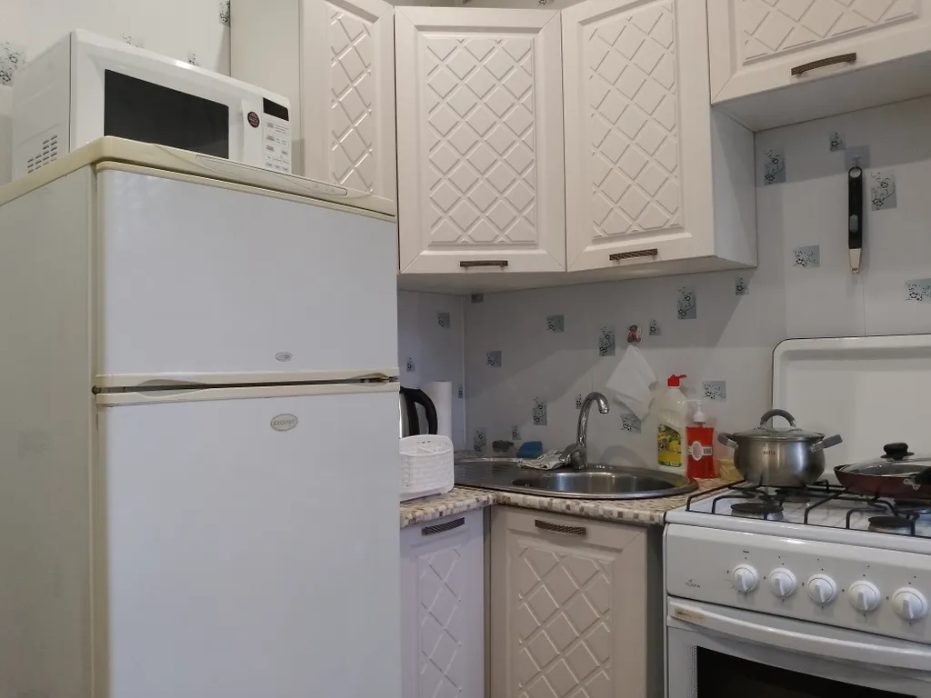 Уютная квартира у парка Берендеевка