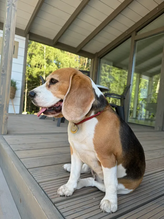 Дом с сауной  в Капитан Клаб