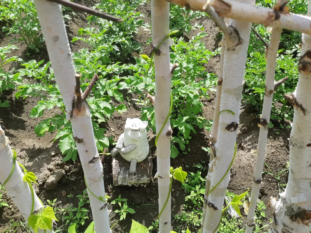 Душевный домик