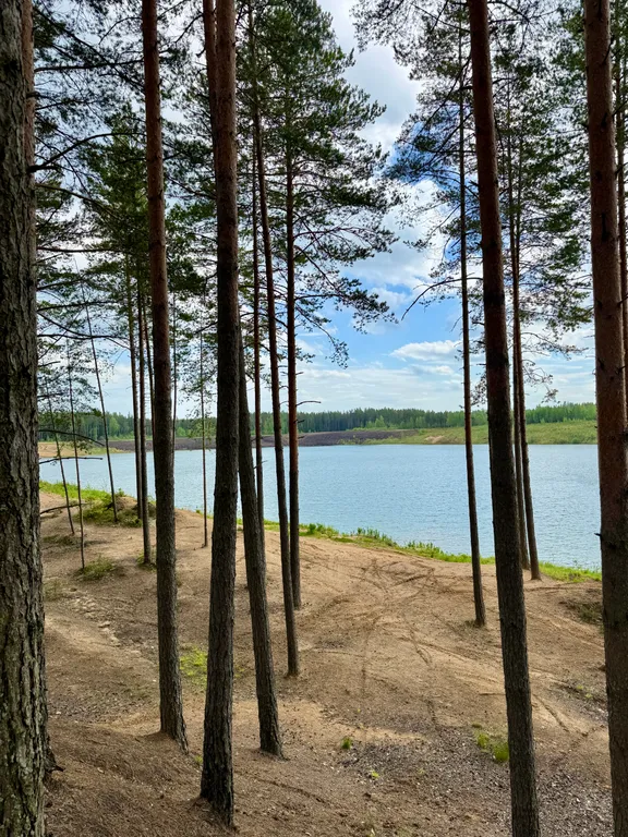 Новый загородный дом Lень на юге Ленинградской области