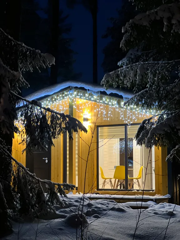 Коттедж Коттедж Логово Тигра — Стеклянный