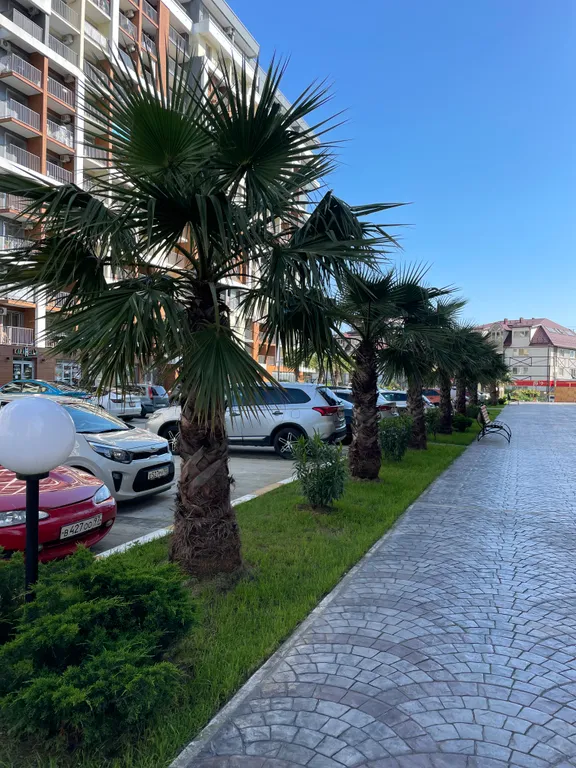 Квартира Квартира на берегу моря — Сочи