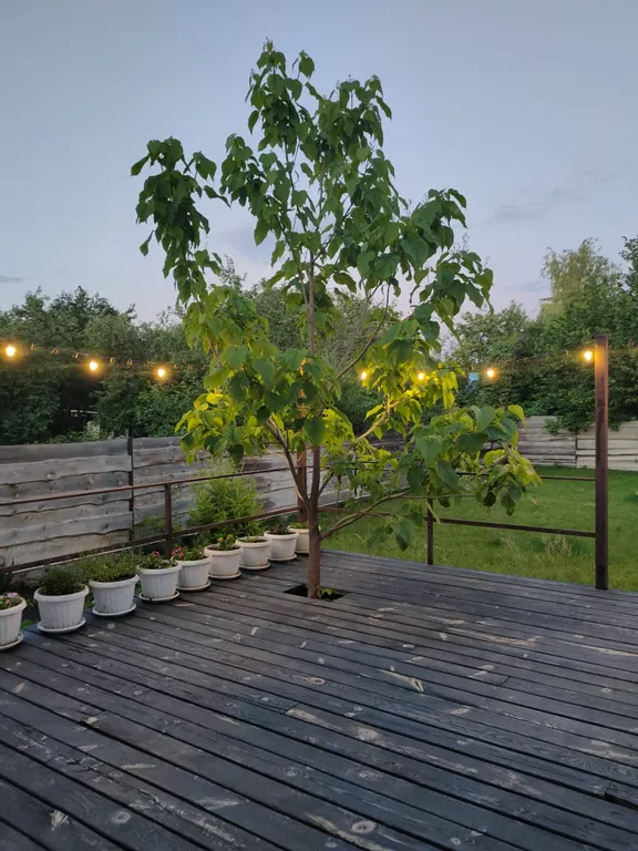 Уютная дача "Дом на дереве" в черте города